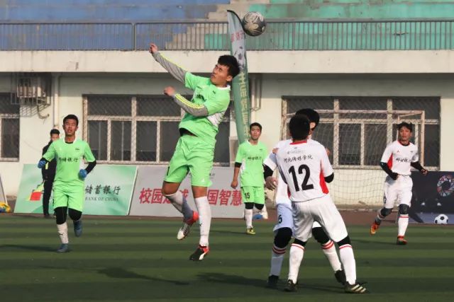 2028体育赛事数据图像